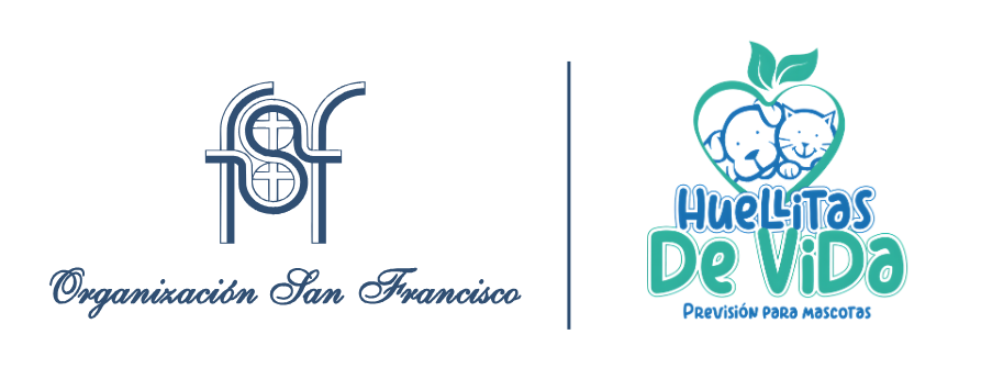 Huellitas de Vida | Organización San Francisco